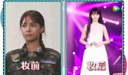 明星黑料合法吗 每日大赛,合法边界与道德争议